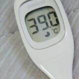 「ココリコ遠藤の妻、息子2人が次々発熱し壮絶な看病「部屋を行ったり来たり」」の画像1