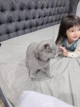 川崎希、可愛い愛猫と娘の姿を公開「いつも子どもたちの近くにくるんだ」