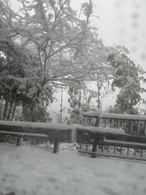 大雪で約4時間立ち往生し帰宅を断念「正直かなり途中から恐怖でした」