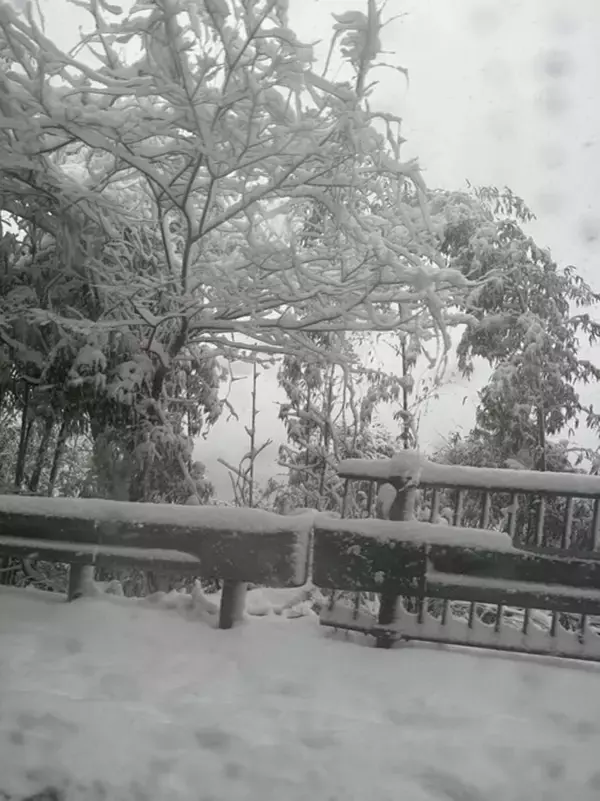 大雪で約4時間立ち往生し帰宅を断念「正直かなり途中から恐怖でした」