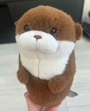 ココリコ遠藤の妻、次男の手術を前に心境を吐露「私まで緊張してきた」