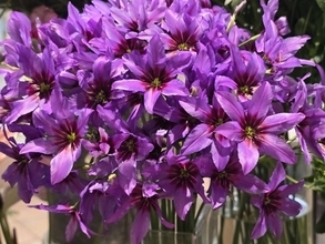 高橋英樹、左手の手術を受けることを報告「更なる健康を目指して頑張ります！」