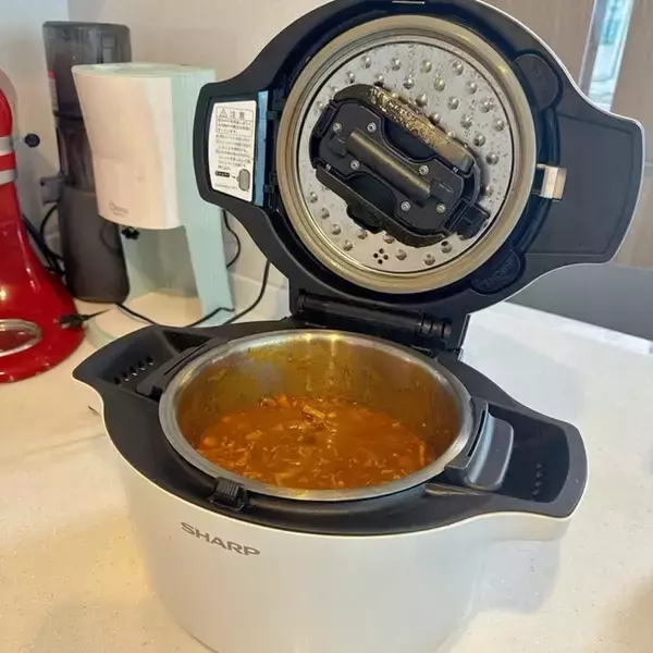 小倉優子、バタバタな日に作った夕食「便利ですね」「美味しそう」の声