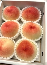 藤あや子、坂本冬美の姉から届いた桃を絶賛「とろとろの食感は最高です」