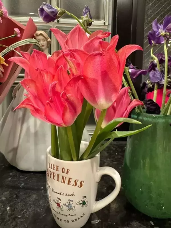 堀ちえみ、玄関に咲く花に癒やされたことを報告「なんかキュンとする」