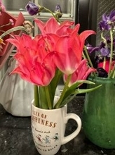 堀ちえみ、玄関に咲く花に癒やされたことを報告「なんかキュンとする」