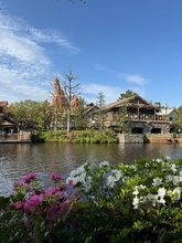 料理研究家・桜井奈々、ノープランで訪れたTDLで新たな発見「こんな楽しい島を知らずに」