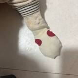 「北斗晶、アレルギー持ちの愛犬にした対策を報告「歩き方が変になって可愛かった」」の画像1