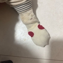 北斗晶、アレルギー持ちの愛犬にした対策を報告「歩き方が変になって可愛かった」