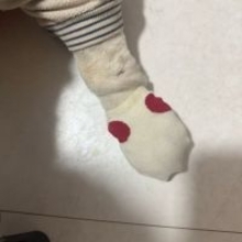 北斗晶、アレルギー持ちの愛犬にした対策を報告「歩き方が変になって可愛かった」