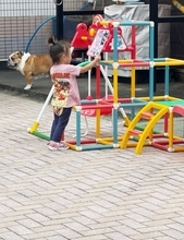 北斗晶、孫との癒やしの時間を報告「じーちゃんはまた、本を読んでと捕まりました」