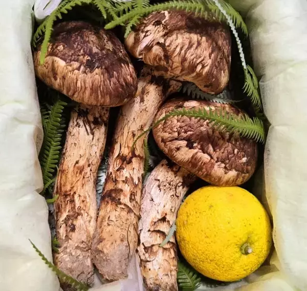 高橋英樹、頂いた立派な松茸で豪華な夕食「チョ～～贅沢な昨夜の晩ごはん」