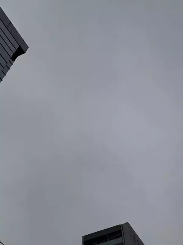 堀ちえみ、約2時間のインプラント治療を受けたことを報告「ネジを埋め込む工事」