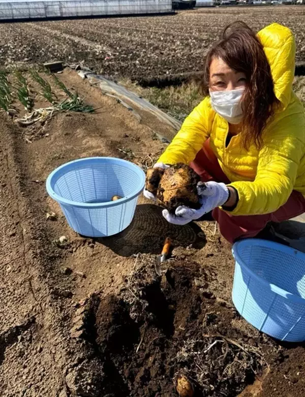 北斗晶、家族でジャガイモ掘りを楽しんだことを報告「若者に任せてそろそろね～楽しないと」