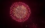 「藤あや子、10年ぶりの花火大会で大興奮「鮮やかな色に感動しました」」の画像1