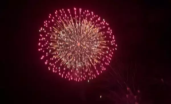 藤あや子、10年ぶりの花火大会で大興奮「鮮やかな色に感動しました」