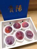 「藤あや子、幻のすももが届いたことを報告「最高に美味しかったでーーーす」」の画像1