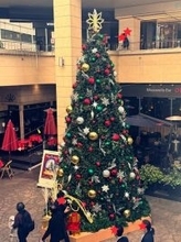 高橋真麻、ママ友との食べ放題で食べ過ぎを告白「チュアブルが欠かせない午後となりました」