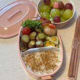 「料理研究家・桜井奈々、娘が弁当の白米を残す悩みを吐露「家ではめっちゃ食べるのに」」の画像1