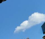 「堀ちえみ、大学病院での検査結果を報告「進化しているんだ！と信じてやっていく」」の画像1