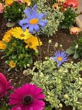 堀ちえみ、食道がん術後7年の検査結果を報告「疑わしきものは何ひとつない！」