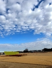 北斗晶、迷っているふるさと納税の返礼品「優柔不断で決められなくて」