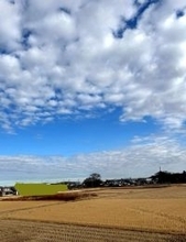 北斗晶、迷っているふるさと納税の返礼品「優柔不断で決められなくて」