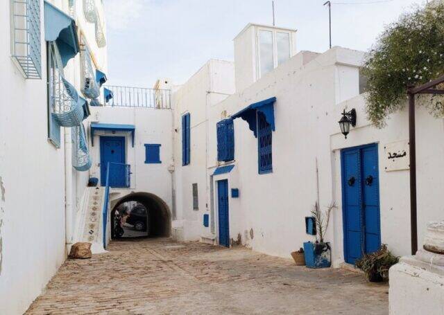世界女子旅レポート「北アフリカ・チュニジア」～白と青の街並みから、幻想的なくすみカラーの街まで～