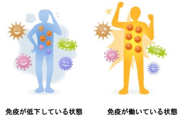 気管支炎:症状、原因、治療法