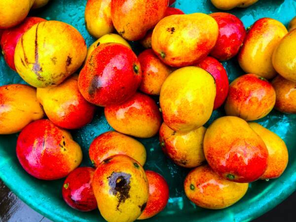 ダイエット大国アメリカで大流行 食べるだけで痩せる 驚異のフルーツ とは 16年3月31日 エキサイトニュース