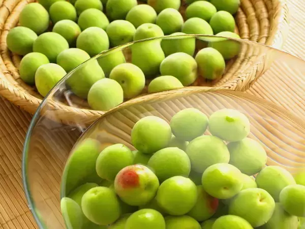 「5月に最適！超絶簡単！女性に人気の【美味しい梅酒】の作り方」の画像