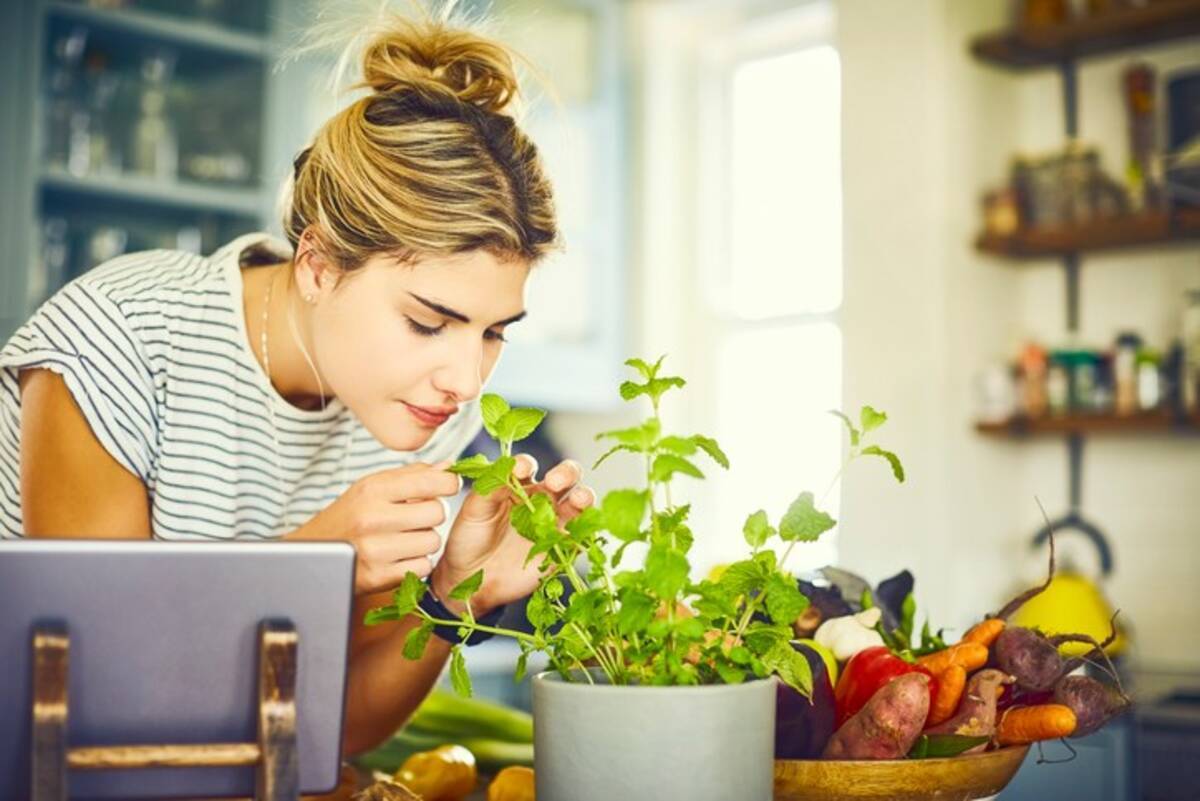 料理の腕がワンランクアップ フランス流フレッシュハーブの上手な使い方 17年8月13日 エキサイトニュース