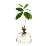 「秋のおうち時間をオシャレに！MoMAデザインストアの最新アイテム5選」の画像4