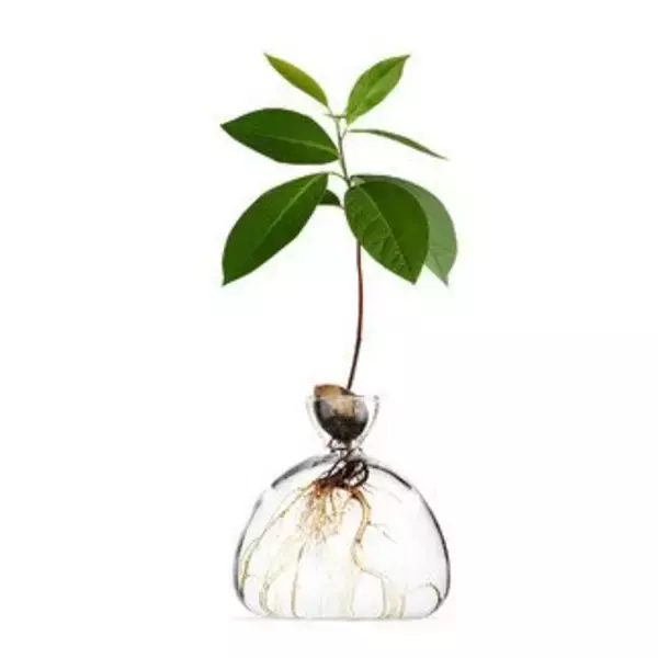 「秋のおうち時間をオシャレに！MoMAデザインストアの最新アイテム5選」の画像