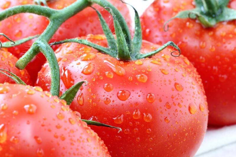 野菜がおいしく新鮮になる 50 洗い テクニックとは 15年8月5日 エキサイトニュース