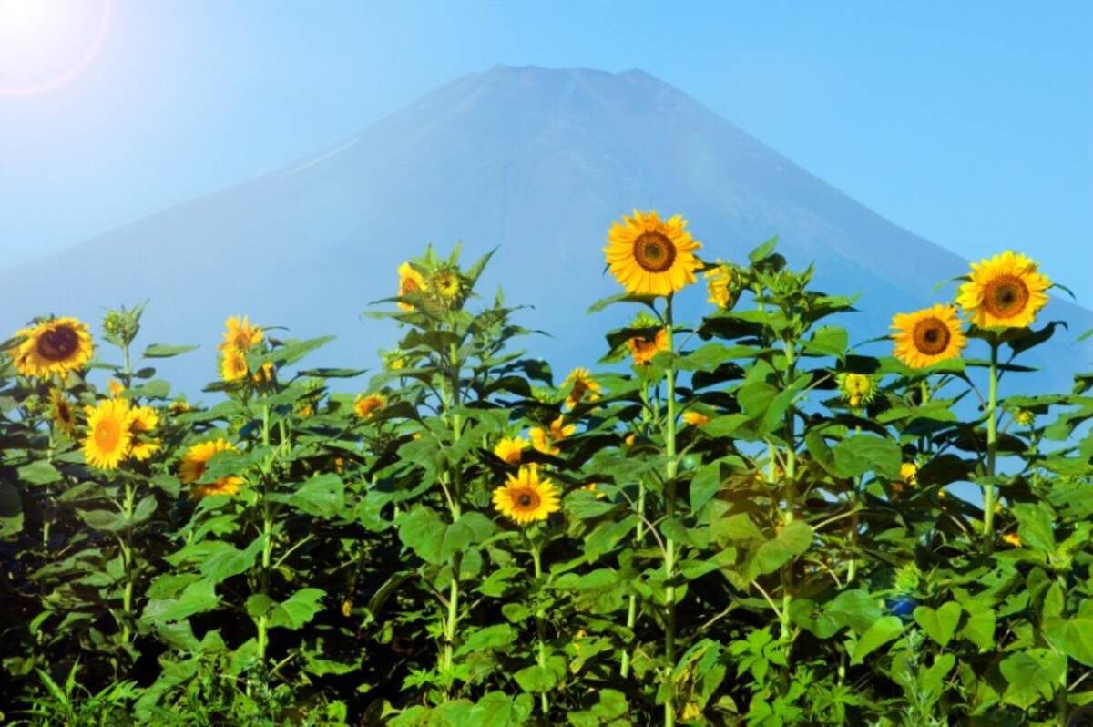 冷房を使わないで 涼しさ を感じるには 日本の夏の涼みかた4選 15年8月9日 エキサイトニュース