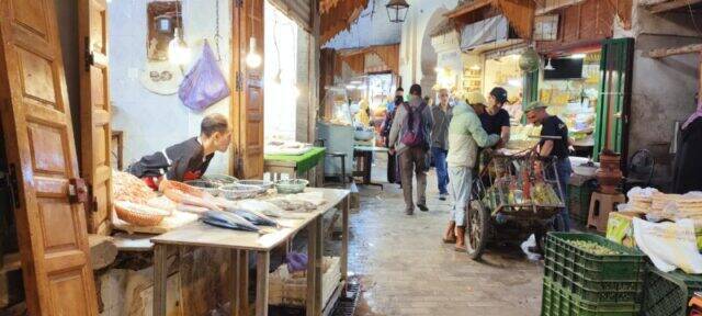 【2025年秋】モロッコの「青い街」シャウエンの魅力 〜世界女子旅レポート〜