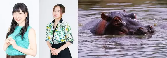 櫻井孝宏 デジモン パートナー田村睦心に注目 アフレコは必ず何かが起こる 16年9月24日 エキサイトニュース