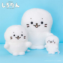 【しろたん】横浜で期間限定ポップアップ開催、オリジナル商品登場！