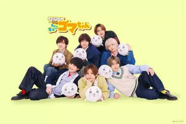 「『⼩3アシベ QQゴマちゃん』第11話 先行カット＆あらすじ公開！ 主題歌配信情報も」の画像