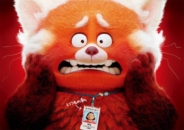 私ときどきレッサーパンダ 細田守 ドミー シー対談 細田監督直筆イラスト公開 22年3月9日 エキサイトニュース