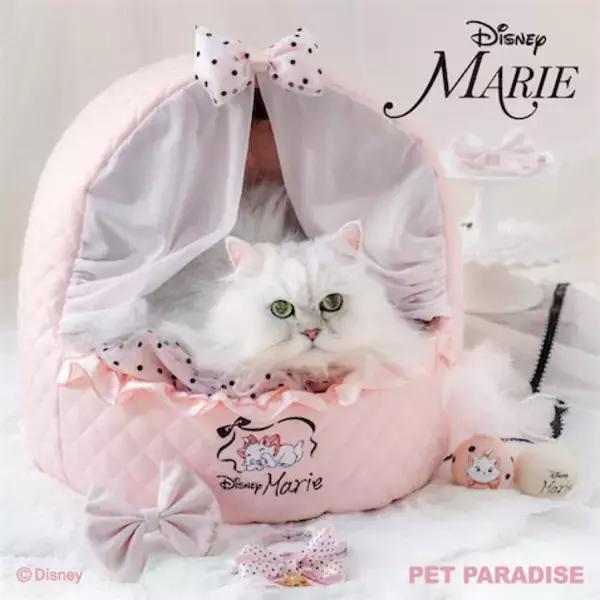 【『おしゃれキャット』マリー】猫用グッズの2026春夏コレクション！