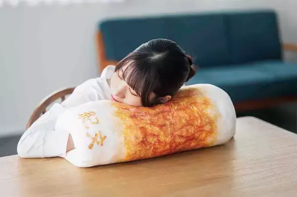 『紀文のおひるねちくわクッションBOOK』で「おでん」をゲット！