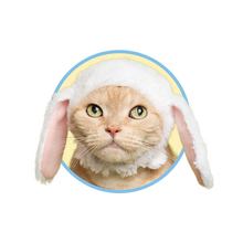 【ねこのかぶりもの】ねこがロップイヤーのねこうさぎちゃんに！