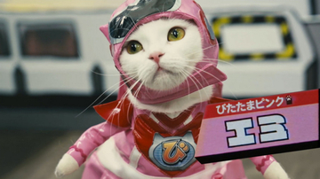 猫と声優の絶妙なハーモニー『ネコ戦隊 びたたま』に癒される。