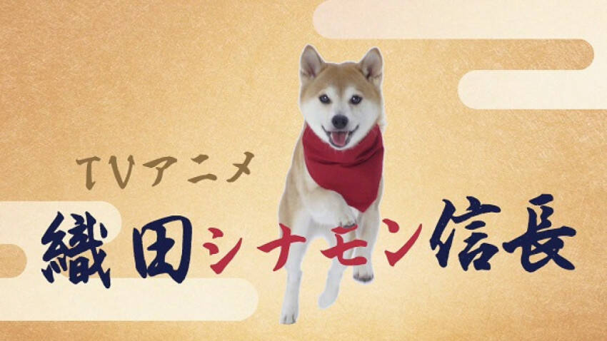 リアル犬キャストの時代劇 アニメ 織田シナモン信長 ティザーpvに追加キャストも 19年11月8日 エキサイトニュース