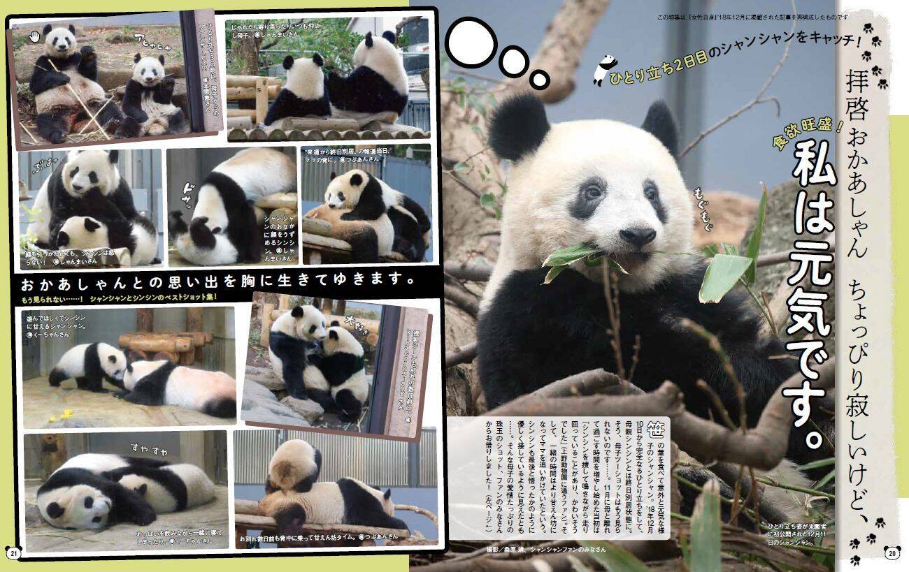 パンダ特集mook パンダ自身 が重版出来の大ヒット 21年2月1日 エキサイトニュース