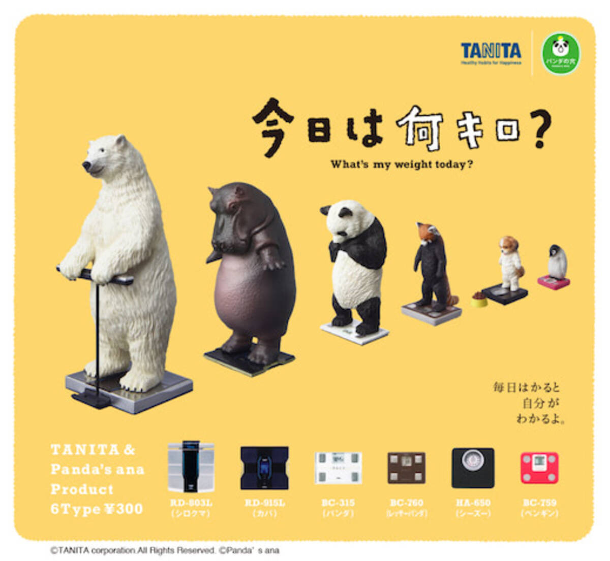 動物だって体重気になる カプセルトイ 今日は何キロ 21年3月23日 エキサイトニュース