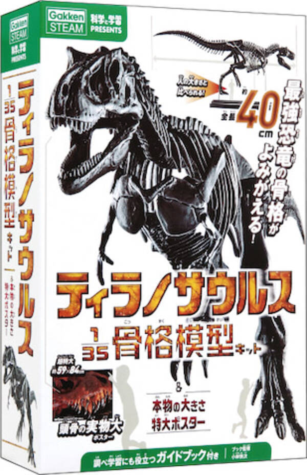 最強恐竜の骨格が蘇る 究極のティラノサウルスキットが新発売 21年4月29日 エキサイトニュース