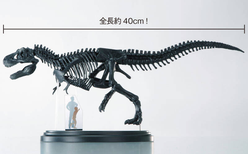 最強恐竜の骨格が蘇る 究極のティラノサウルスキットが新発売 21年4月29日 エキサイトニュース